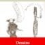 Dessins (Paul Verlaine) | Ebook epub, pdf, Kindle