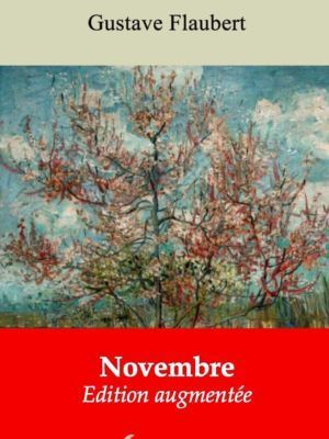 Novembre (Gustave Flaubert) | Ebook epub, pdf, Kindle